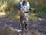 10-08 015